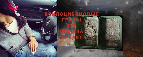 ALPHA PVP Гусев